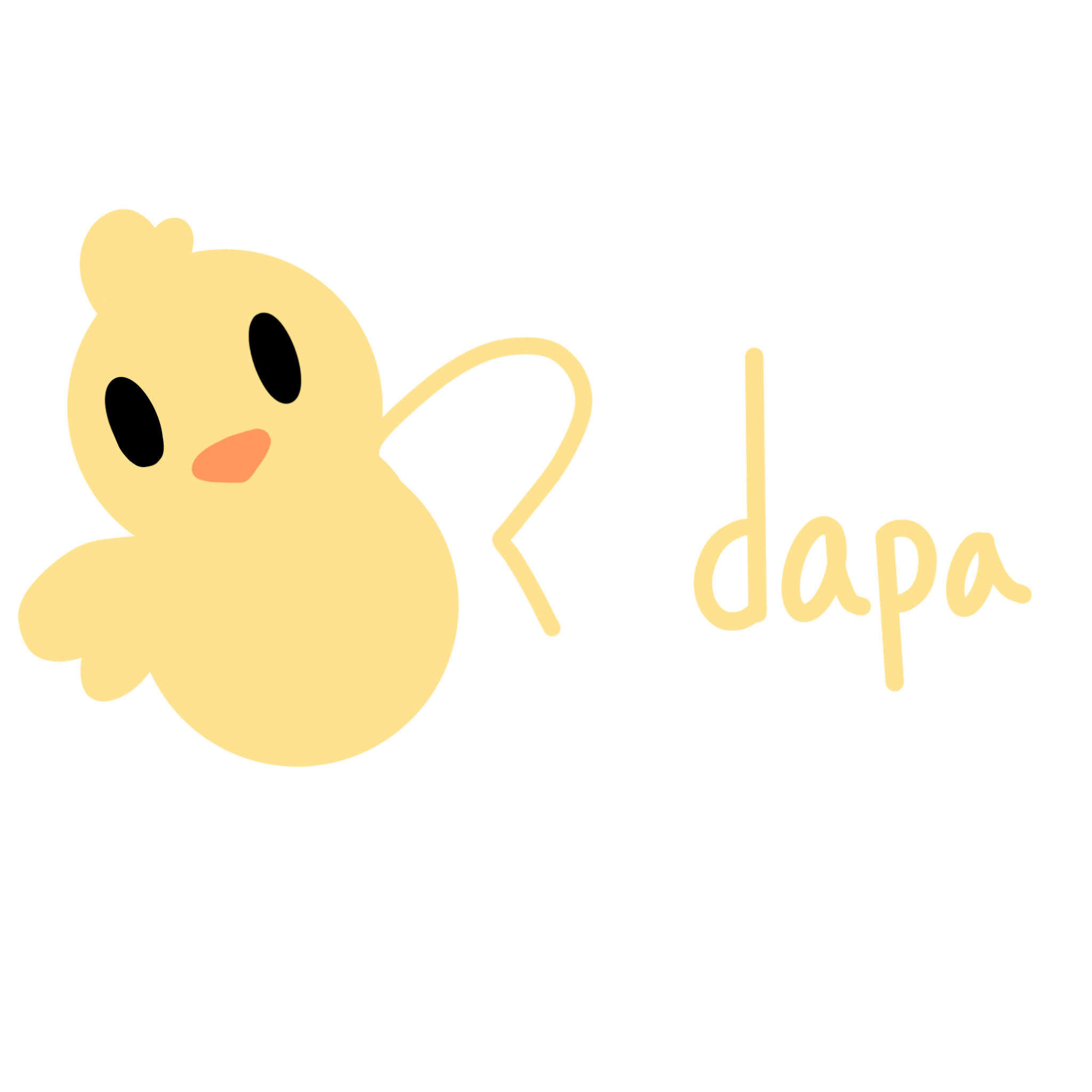 Rodapa